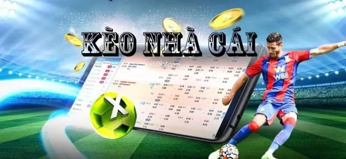 Hướng dẫn cách tham gia cá cược kèo nhà cái Kubet