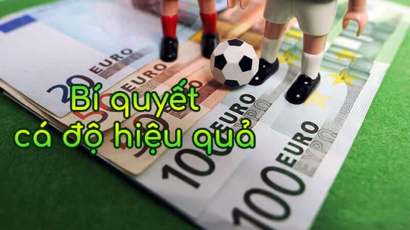 Kinh nghiệm chơi cá độ hiệu quả tại Kubet