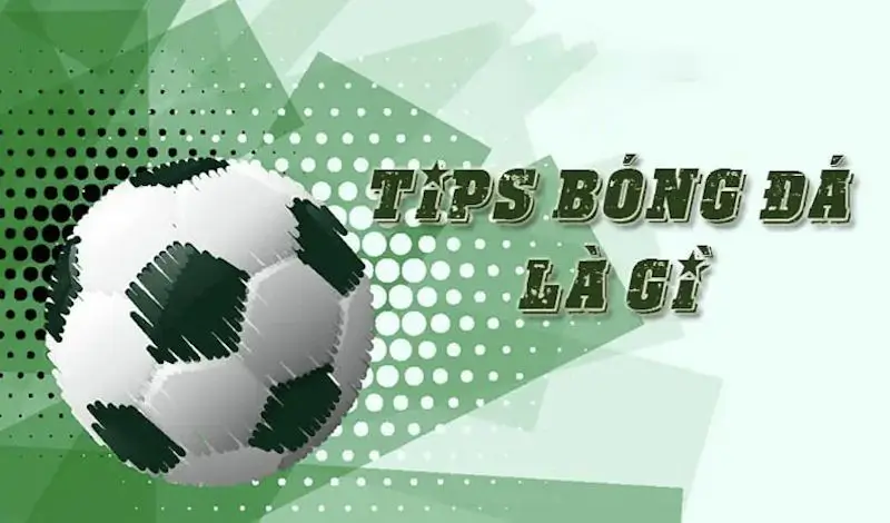 Tìm hiểu Tips bóng đá là gì tại kubetku11